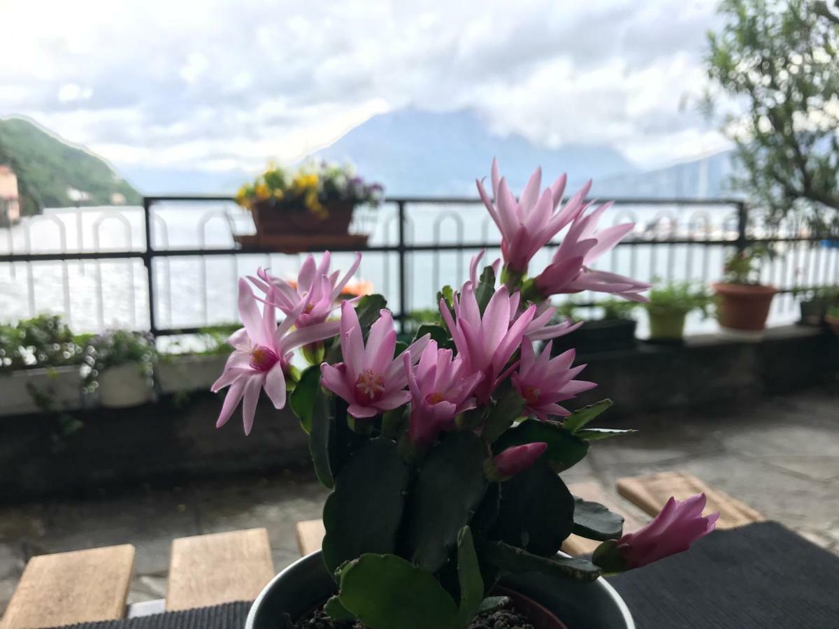 Gli Oleandri Hotell Bellano Eksteriør bilde