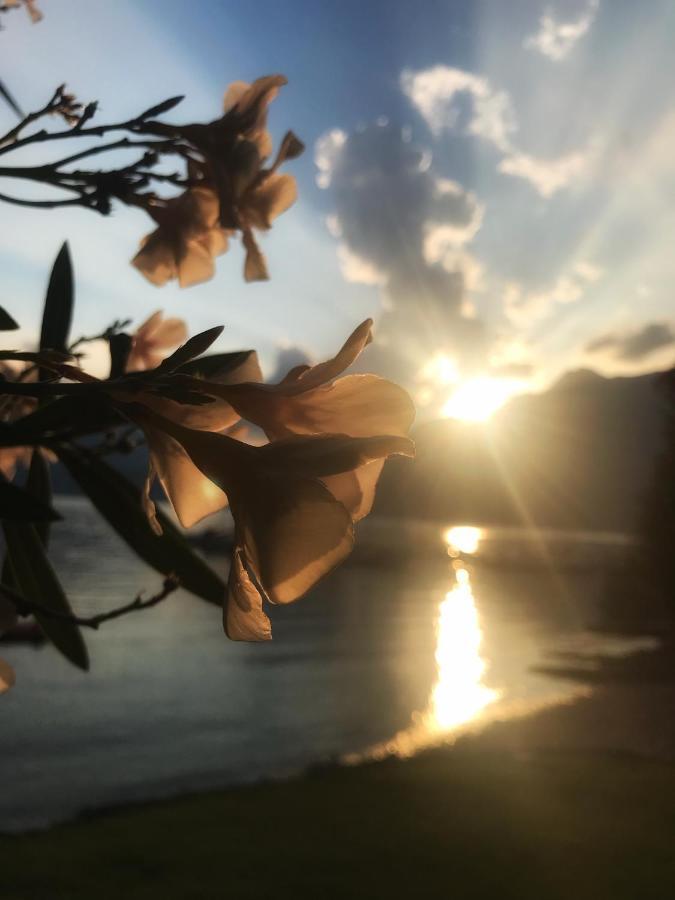 Gli Oleandri Hotell Bellano Eksteriør bilde